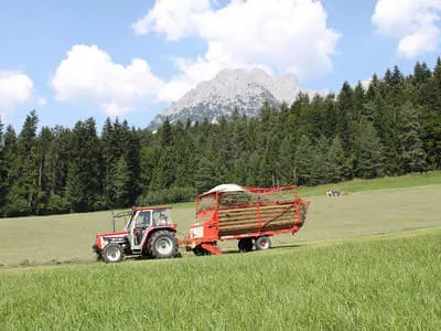 Bio-Bauernhof Bild 7